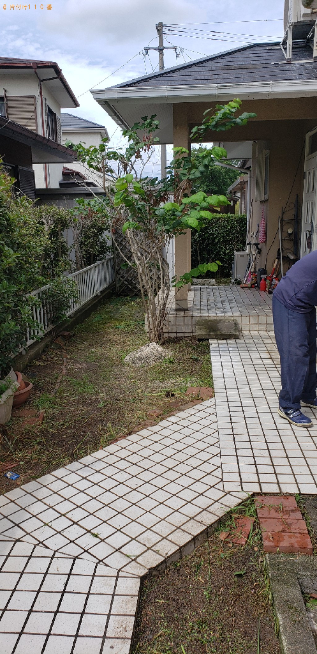木の剪定と草刈り作業ご依頼 お客様の声