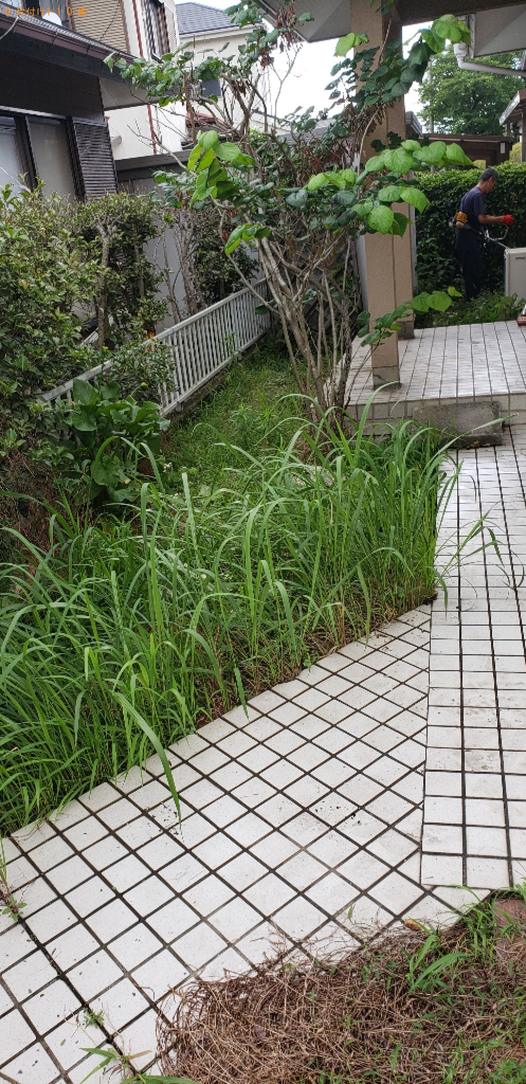 木の剪定と草刈り作業ご依頼 お客様の声