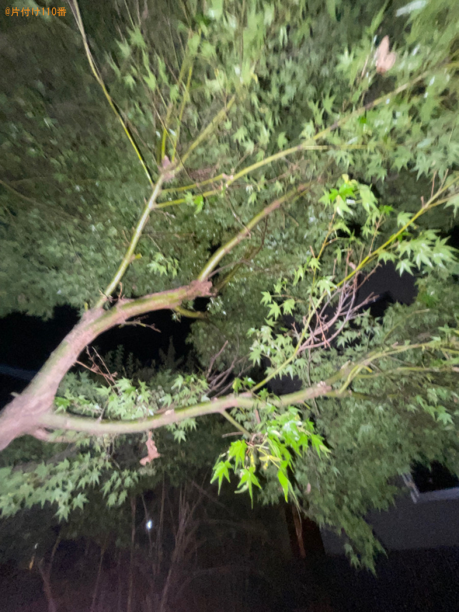 スズメバチ駆除ご依頼　お客様の声